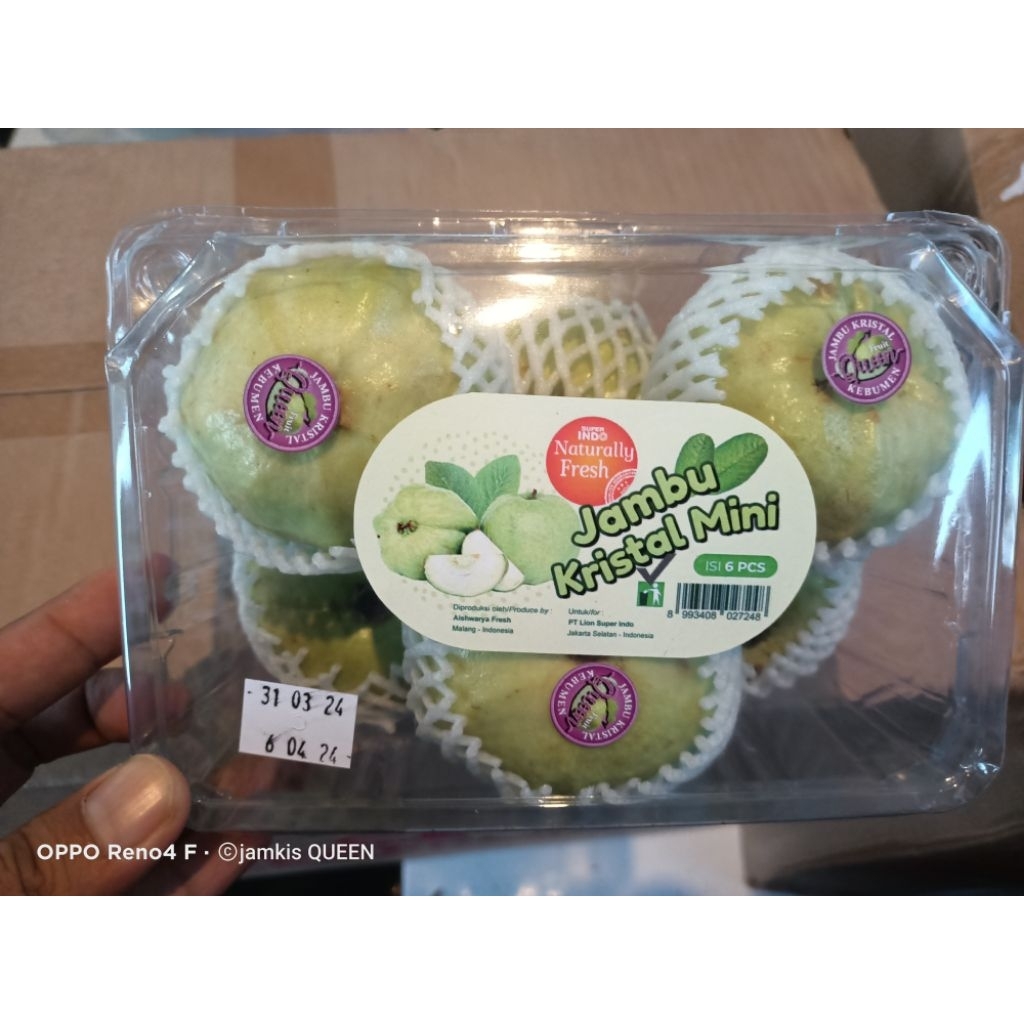 

Jambu kristal mini 6pcs (-+ 1kg)spek market..kaya vit C untuk memperbaiki pigmen kulit agar terlihat lebih muda dan cantik