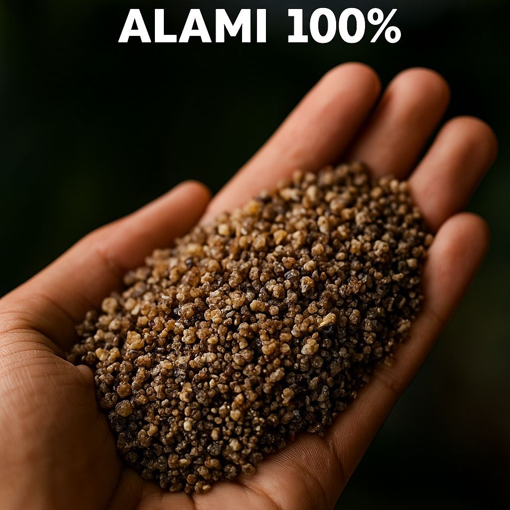 

NF Tiwul Oyek Singkong Alami 100% Pengganti Nasi Sehat Diet & Diabetes | Kemasan 1Kg / 500gr