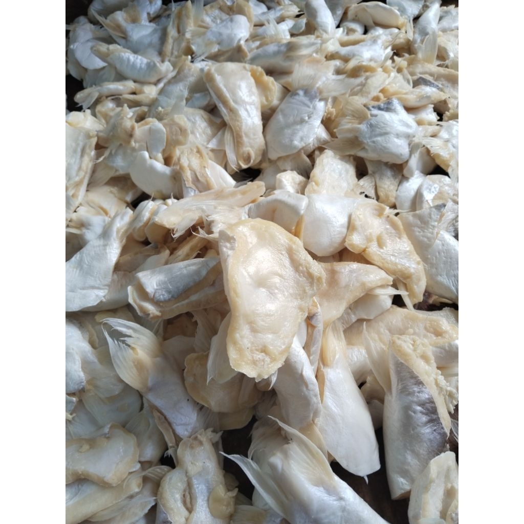 

ikan patin/lemak patin