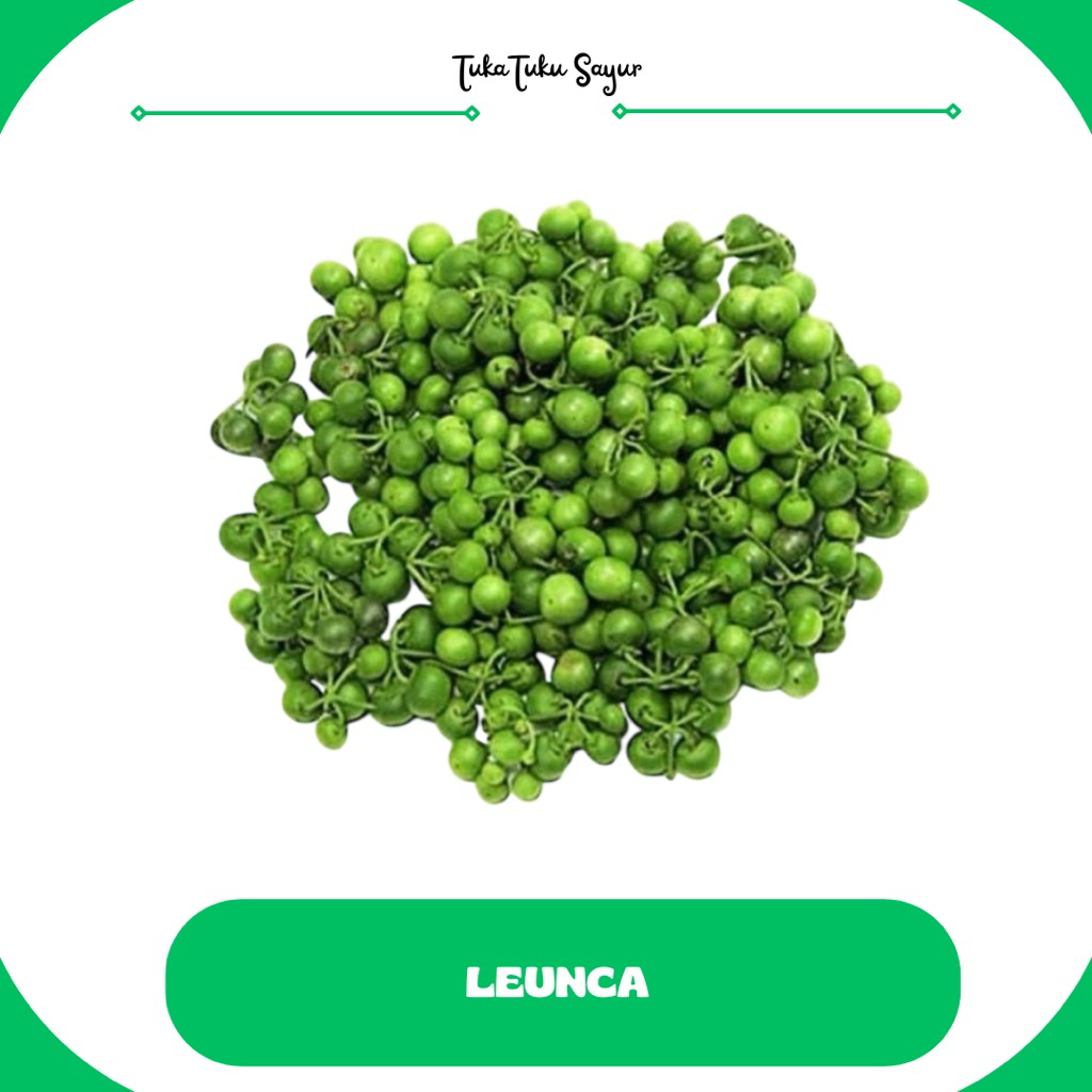 

SAYUR LEUNCA FRESH 250gr - TukaTuku Sayur