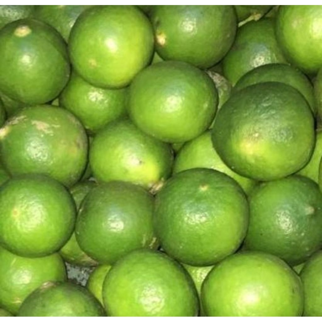 

jeruk nipis 250 gram