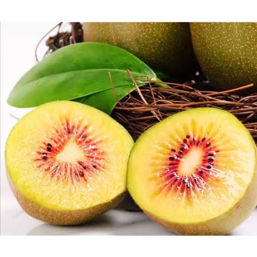 

kiwi red super