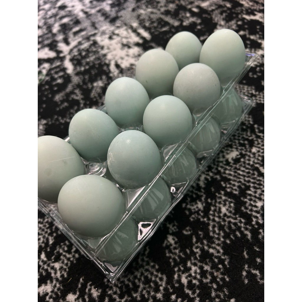 

Telur asin barunawati