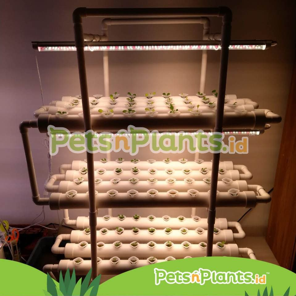 PnP Complete Set Hidroponik Indoor dengan Grow Light Lampu Tanaman Hidroponik