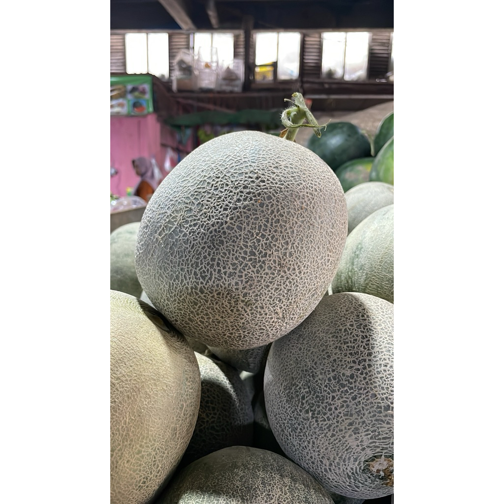 

Melon Putih dan Orens