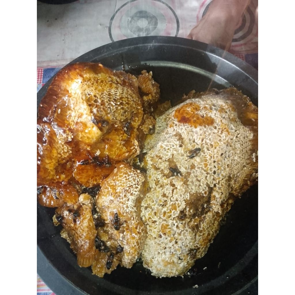 

madu Sialang Riau Asli 100 % jaminan uang kembali