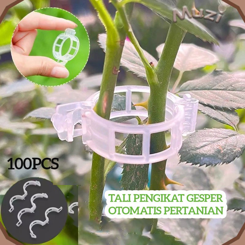 100PCS Alat pengikat tanaman merambat, gesper pengikat cabang, penjepit tanaman merambat, penjepit t