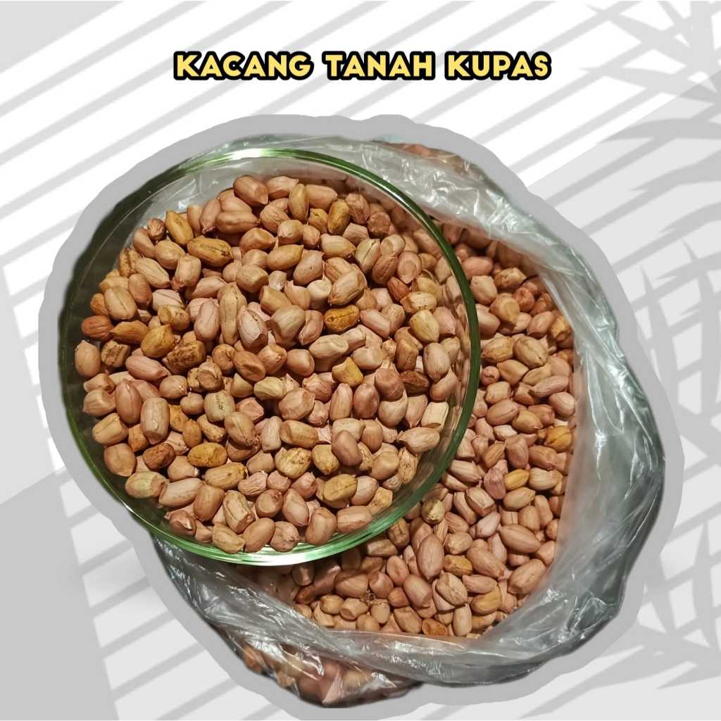 

Kacang Tanah / Kacang Tanah Lokal