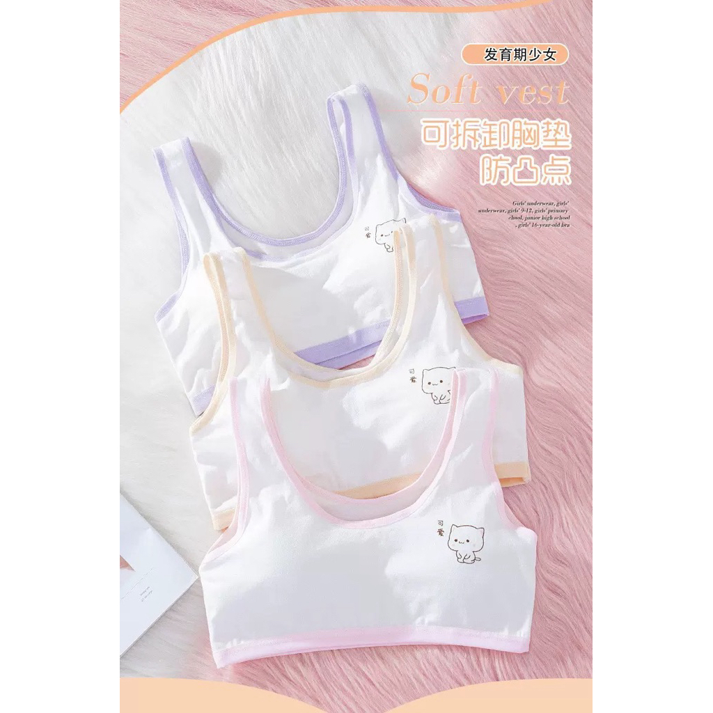 Miniset Busa Anak/Miniset Busa/Miniset Busa Perempuan/Bra Anak/Pakaian Dalam Anak