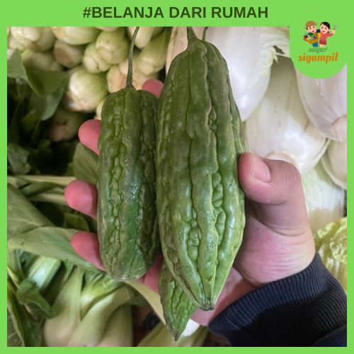 

Sayur Pare Hijau 250gr Bandung Instant