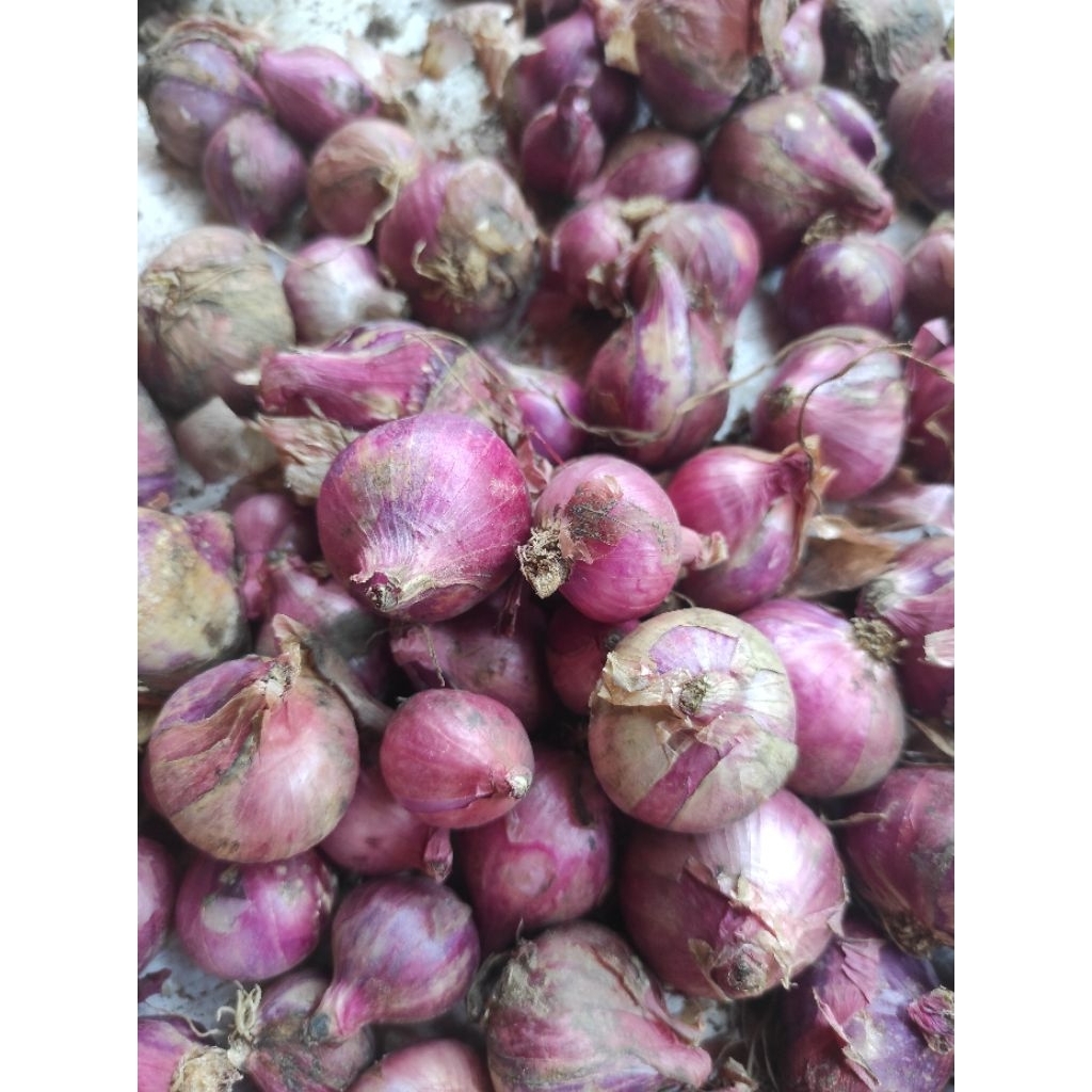 

Promo Bawang Merah Asli Garut