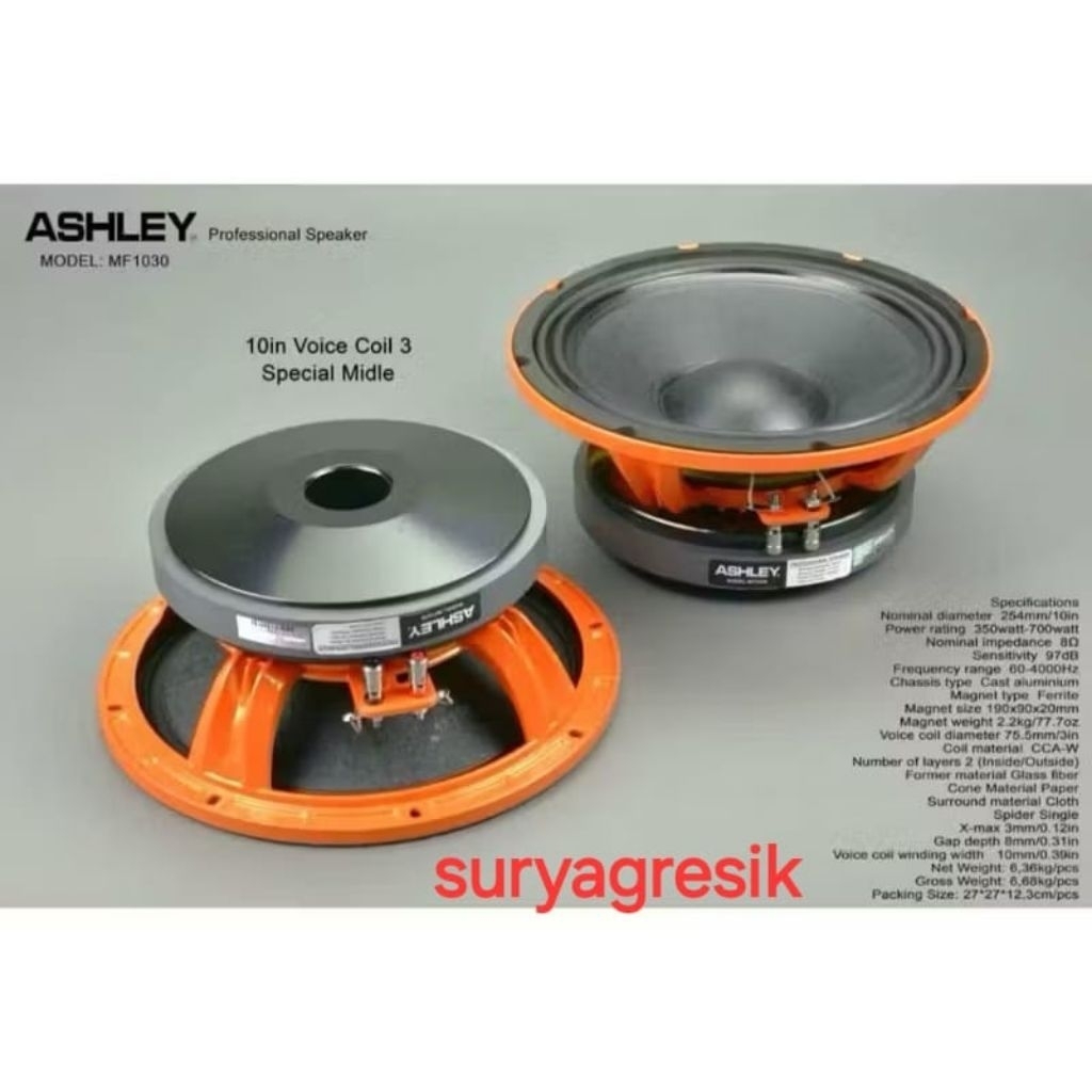 SPEAKER ASHLEY 10 INCH MF1030 SPECIAL MID