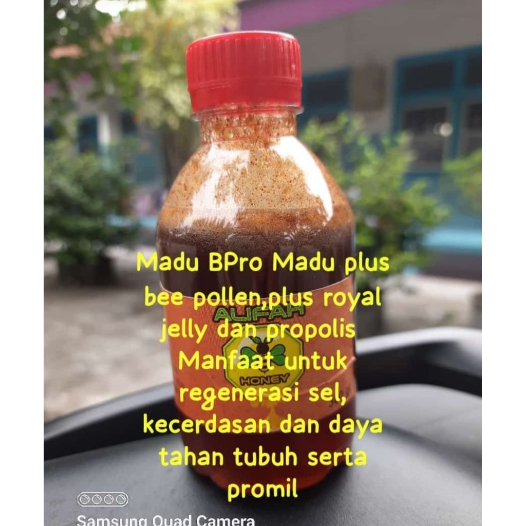 

Madu Bpro