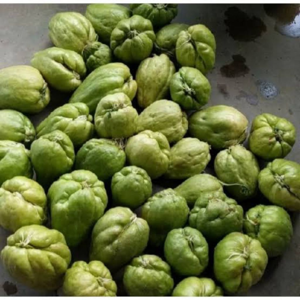 

PROMO Bibit labu siam jumbo