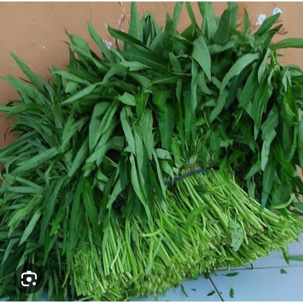 

sayur kangkung 1 ball /grosir isi 20 ikat