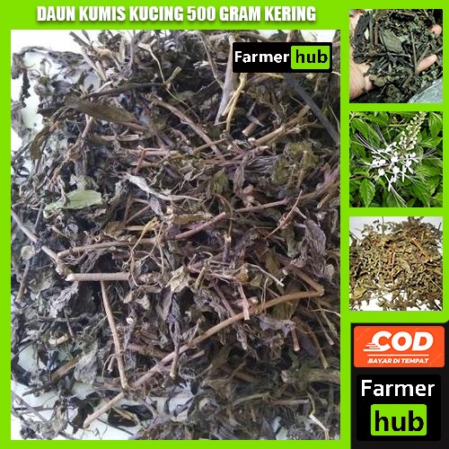 

Promo Daun Kumis Kucing kering 500 gram obat herbal alami farmer hub