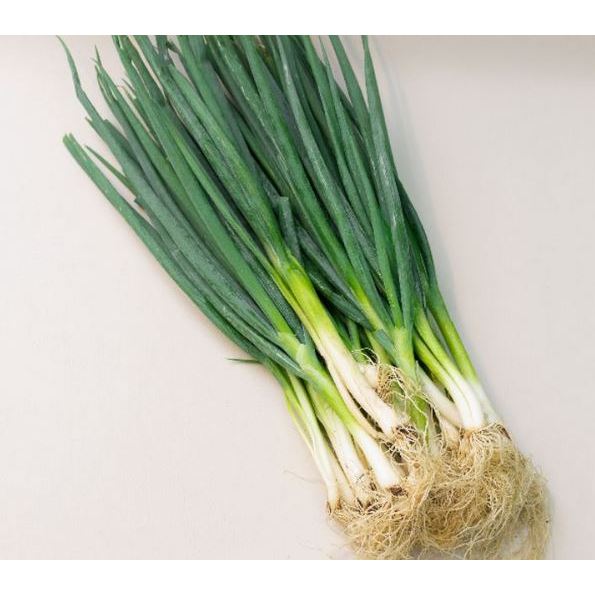 

Daun bawang segar siap menambah setiap masakan lebih nikmat dan lezat