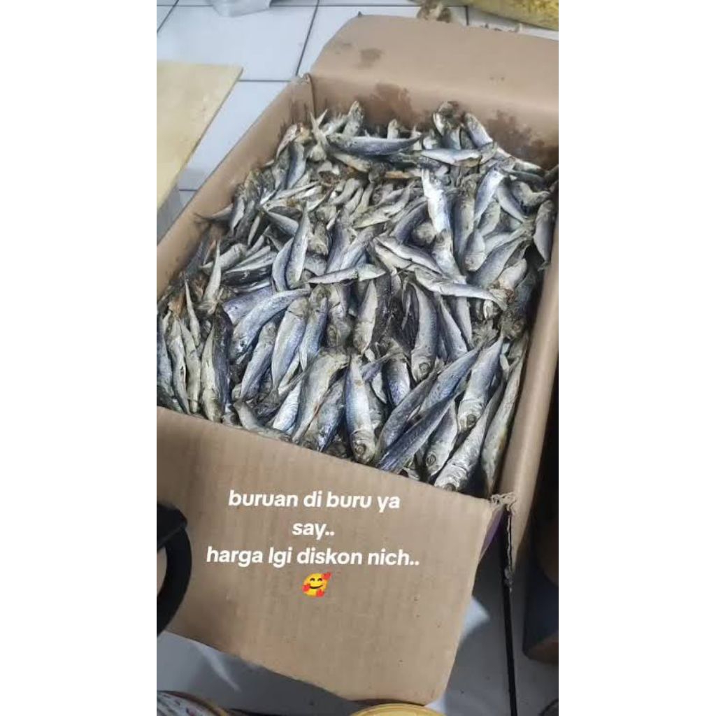 

Ikan Tamban Atau ikan Rebus