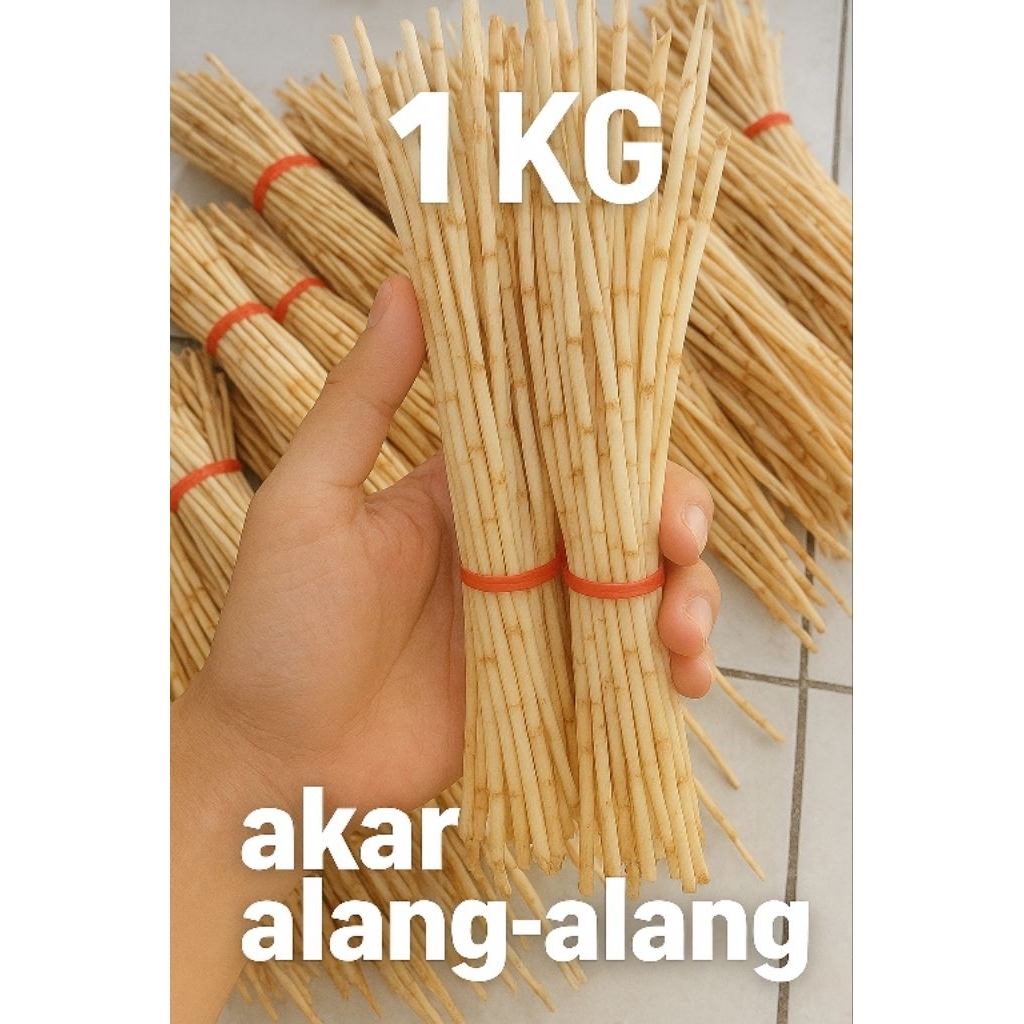 

Akar Alang-Alang Segar 1 Kg – Herbal Alami Obat Ginjal & Panas Dalam