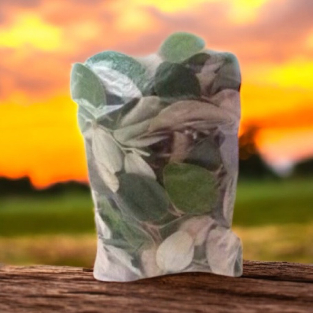 

Daun bidara arab 1kg