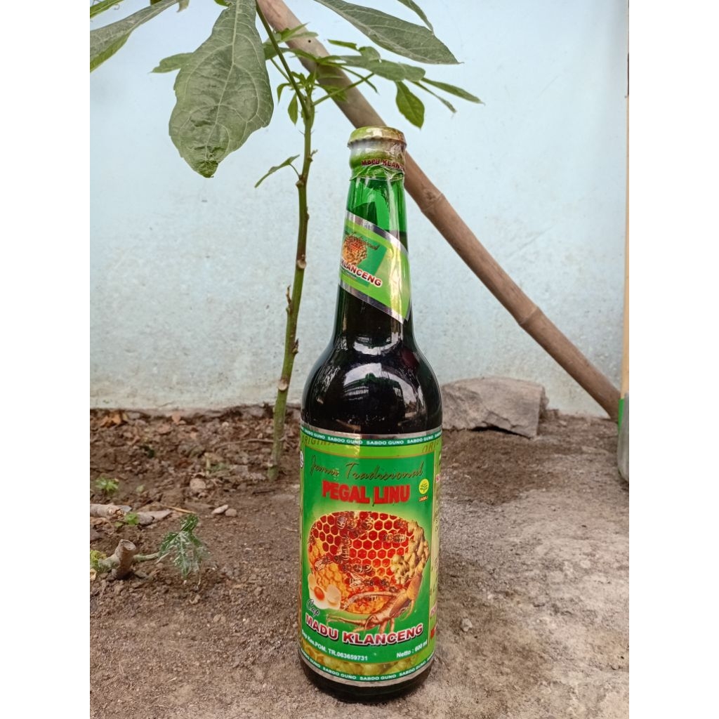 

JAMU TRADISIONAL MADU KLANCENG JAMU PEGEL LINU