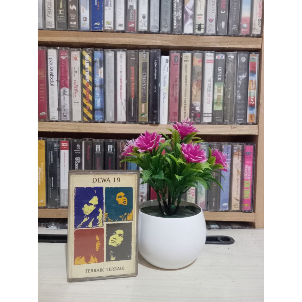 KASET DEWA 19 TERBAIK TERBAIK