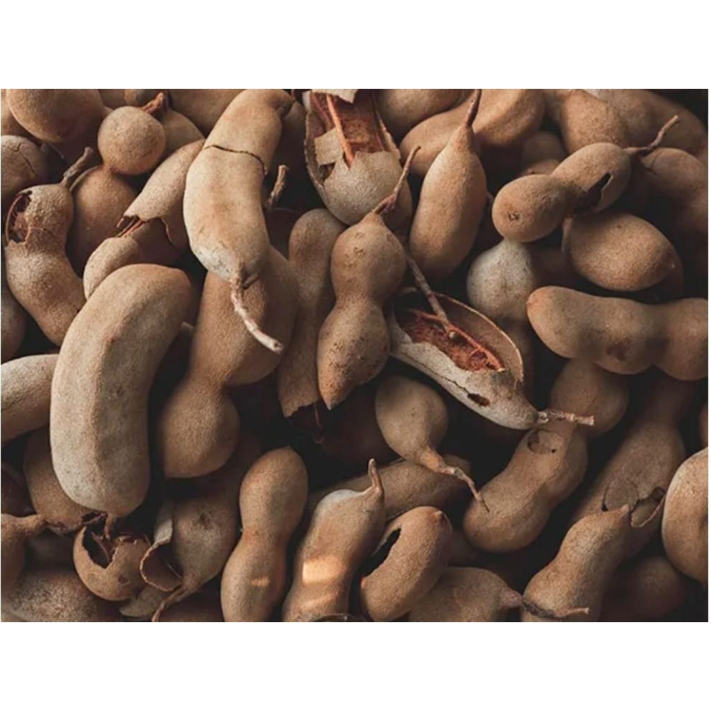 

Asam Jawa Madura Olahan Petani