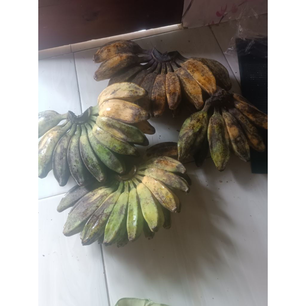 

pisang kepok 1 kg
