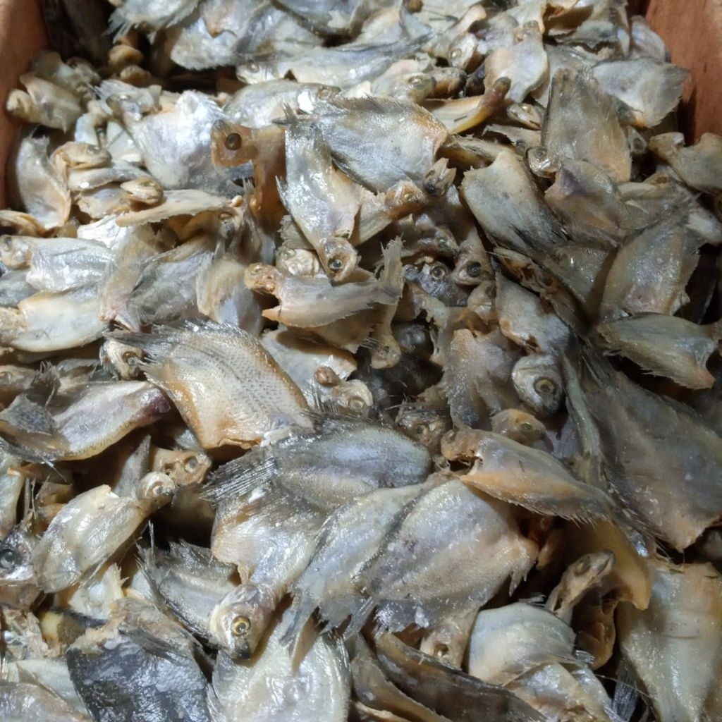 

ikan asin sepat pakrik