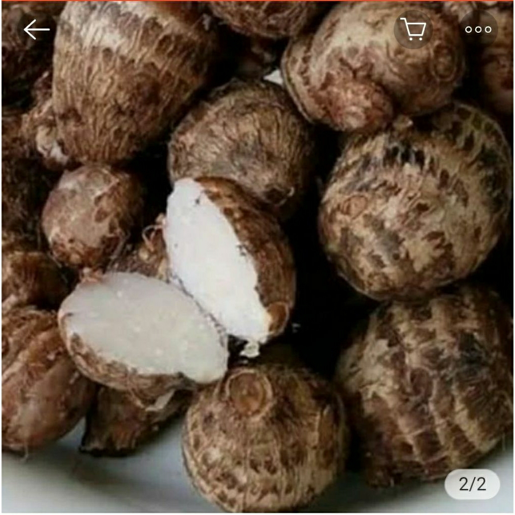 

talas umbi / kimpol 1 kg