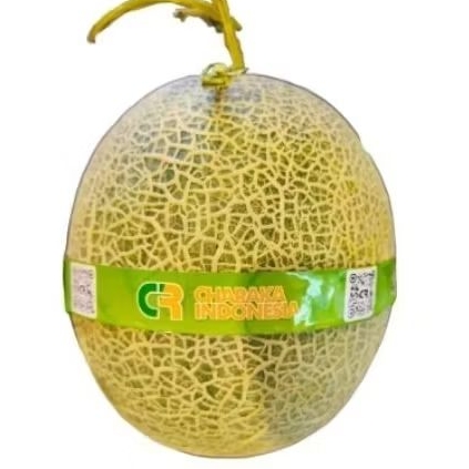 

Buah melon red sweet super premium melon orange manis super cruncy -+1.6kg
