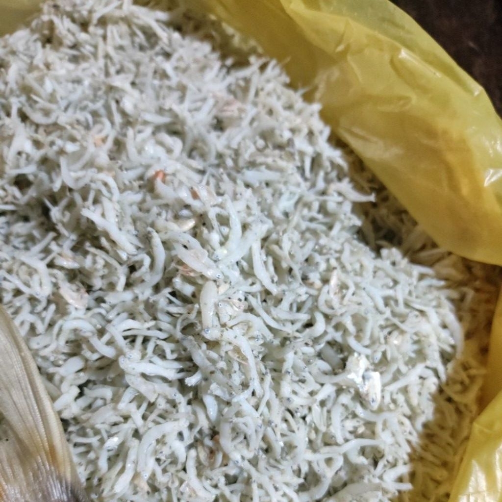 

ikan teri asli medan 250 gr dan ikan mayong 200 gr