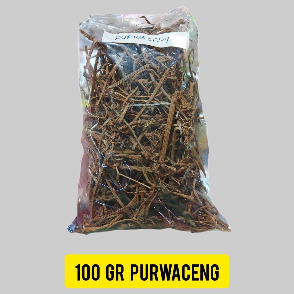 Purwaceng kering asli tanpa campuran - akar purwaceng 100 gr - teh herbal vitalitas - purwaceng baha