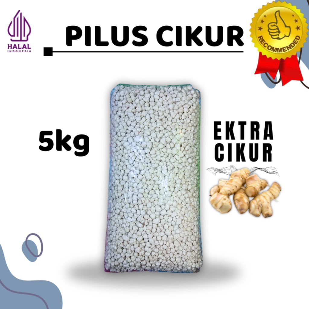 

Pilus Cikur 5kg/ Pilus Kencur Ektra Cikurnya Topping makanan berkuah