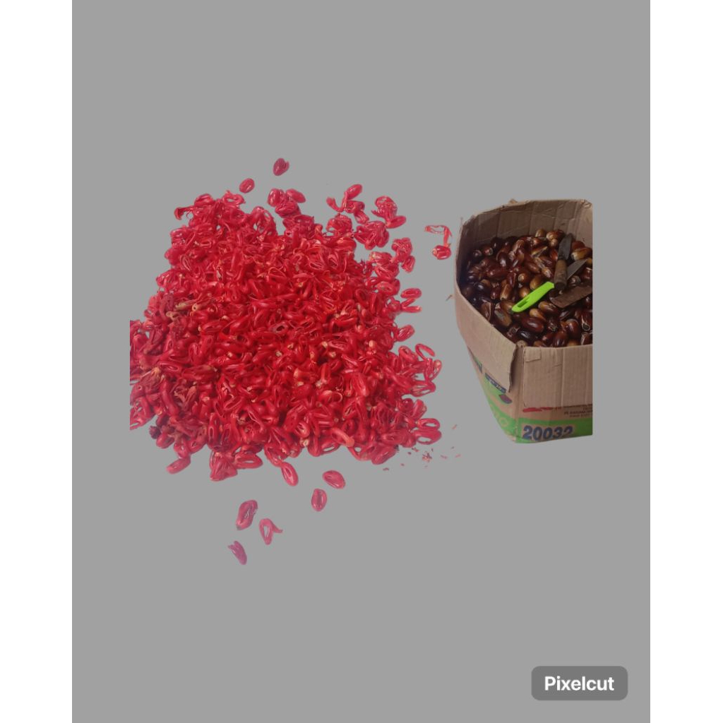 

bunga pala kering dan biji pala kering(fak fak) per kg