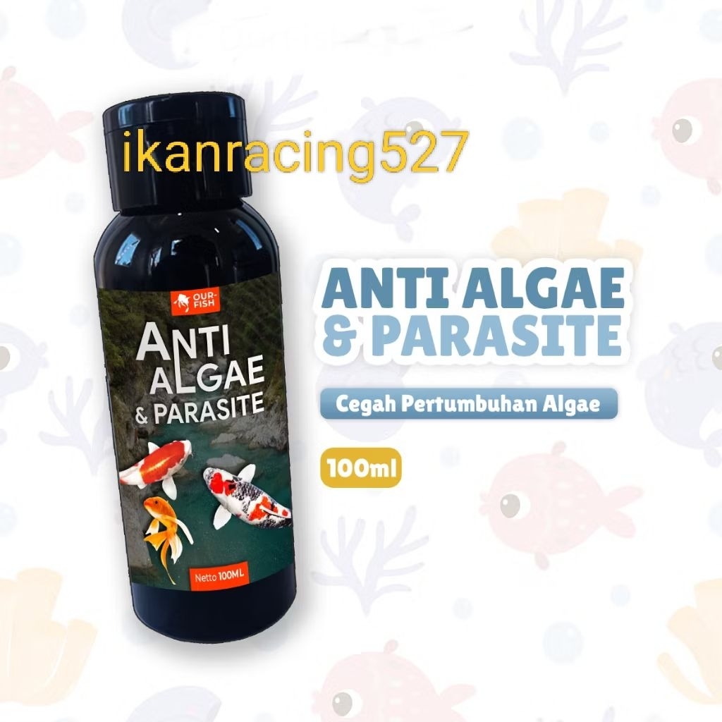 anti algae dan parasit ikan cupang