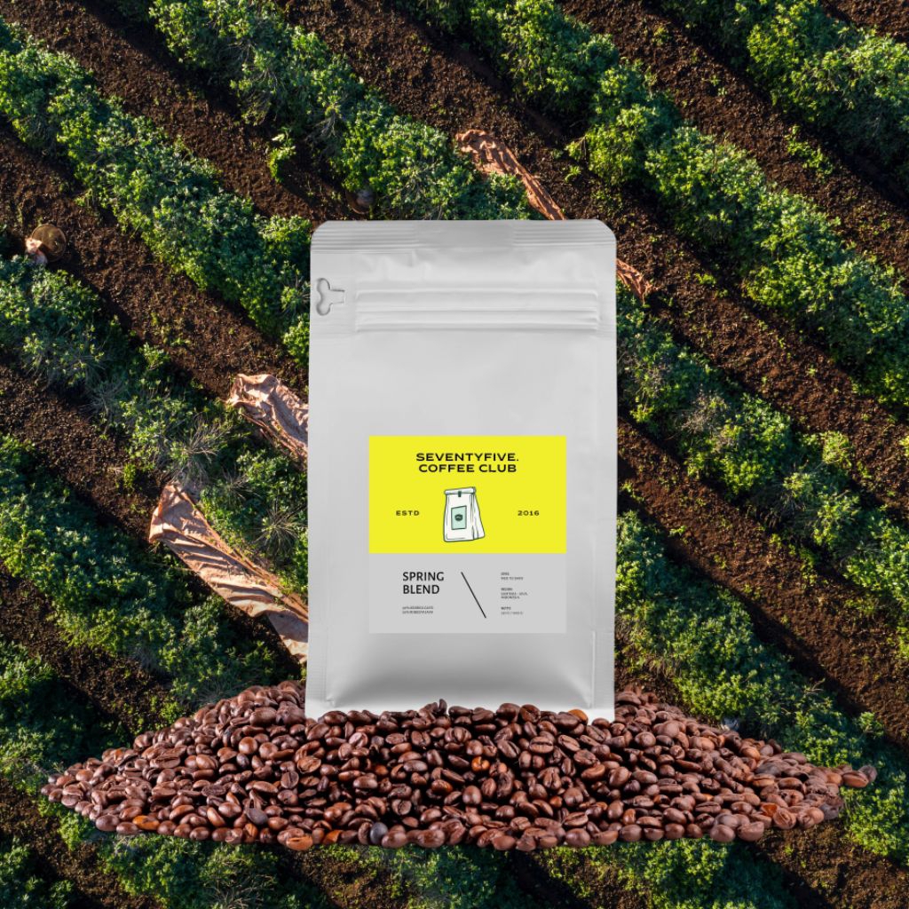 

BIJI KOPI BUBUK KOPI SPRING BLEND 50% ARABICA 50% ROBUSTA 1 KG Arabika Robusta Blend