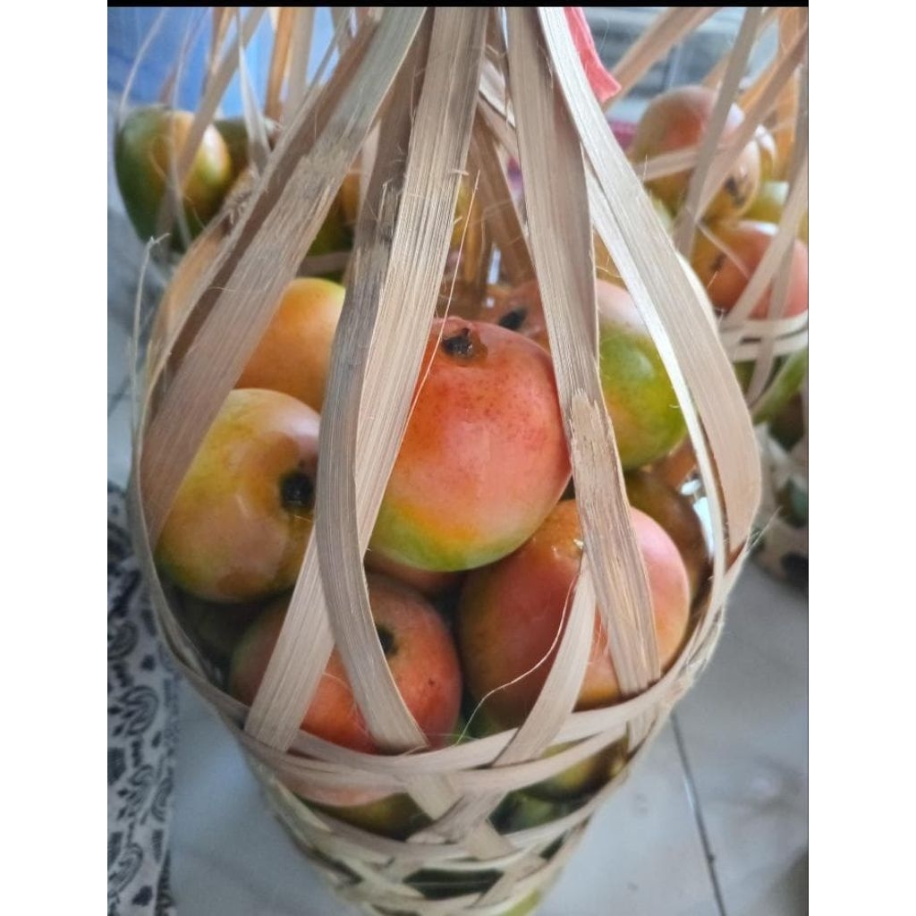 

Mangga gincu keranjang-+3kg