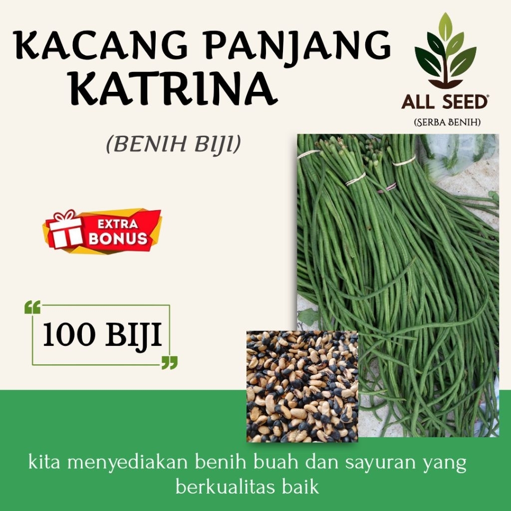 ( 100 biji ) Benih kacang panjang Katrina | kacang hitam putih