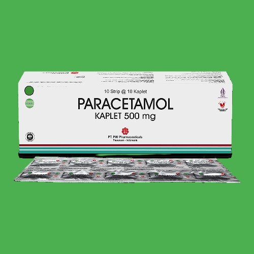 PARACETAMOL BOX PIM ISI 10 STRIP