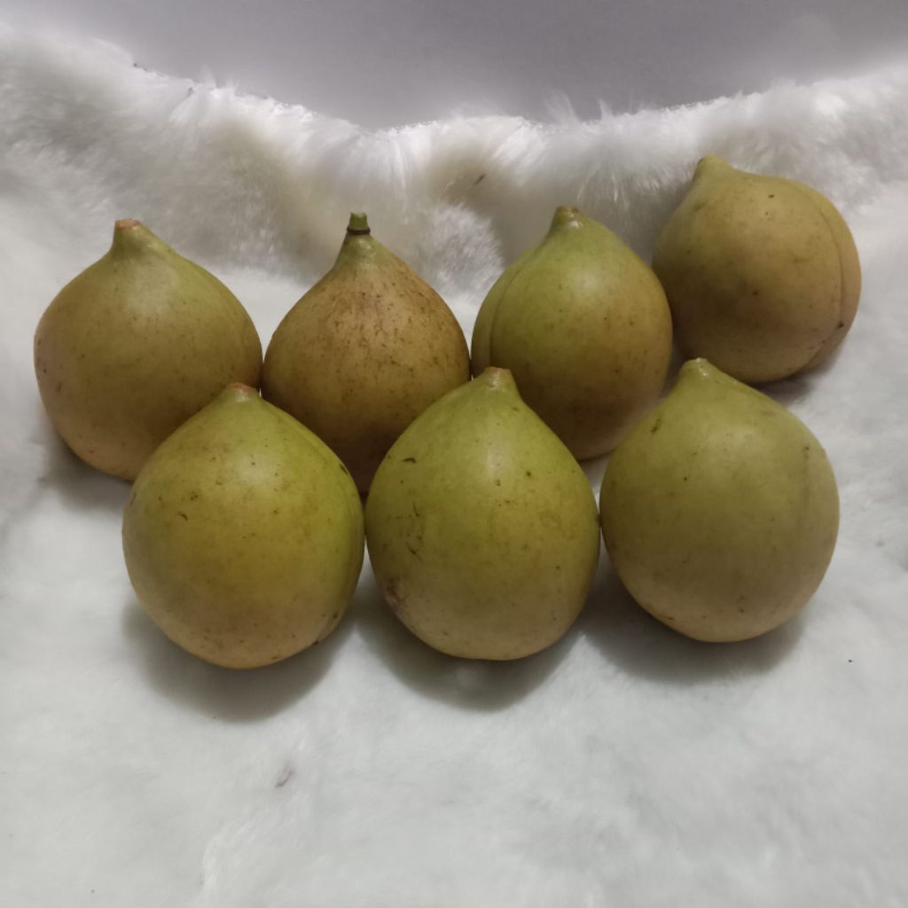 

1000 gram pala segar