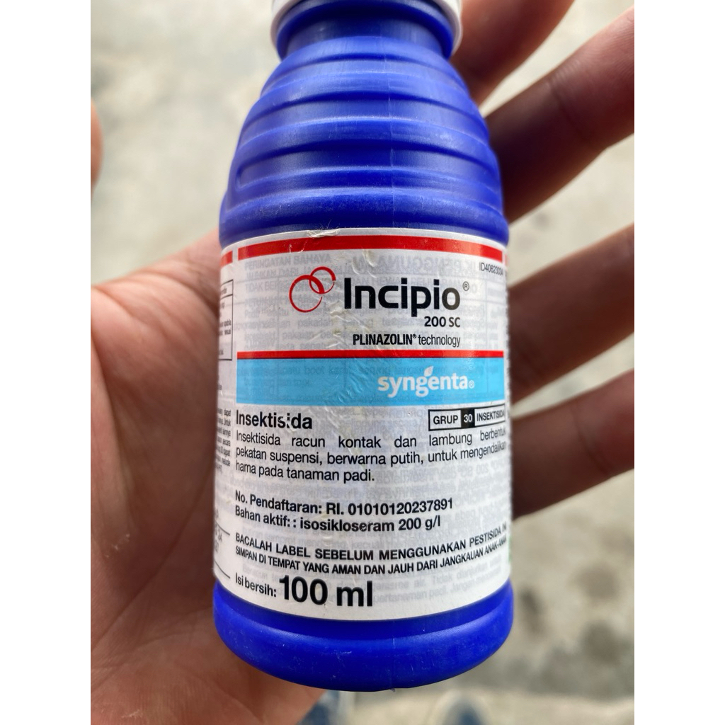 incipio insektisida 100% original syngenta