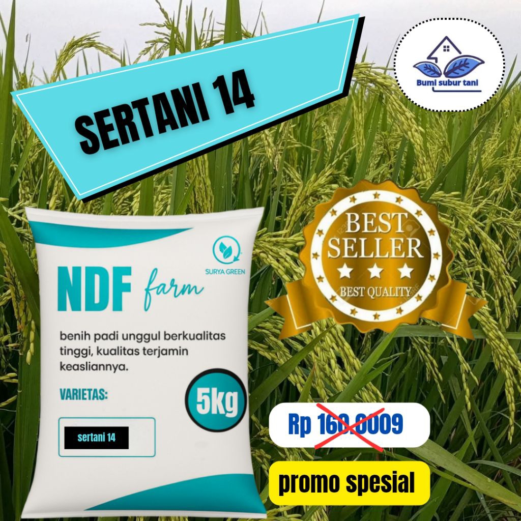 benih padi unggul berkualitas premium SERTANI 14