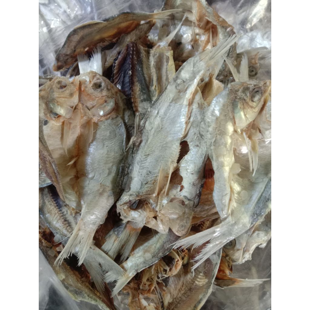 

gesek ikan asin tawar super kering 250gram ¼ campuran