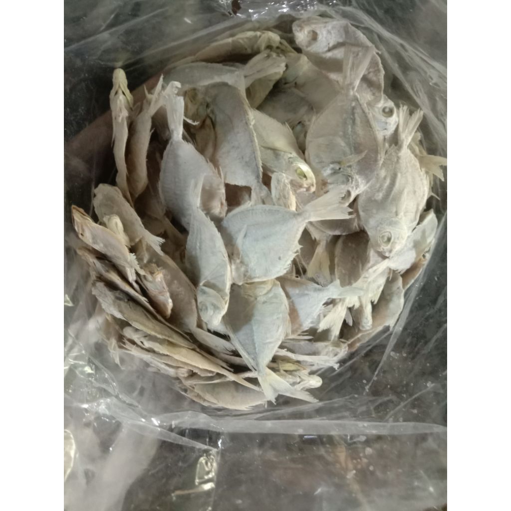 

Gesek ikan asin petek kualitas super kering 1kg 1000gram