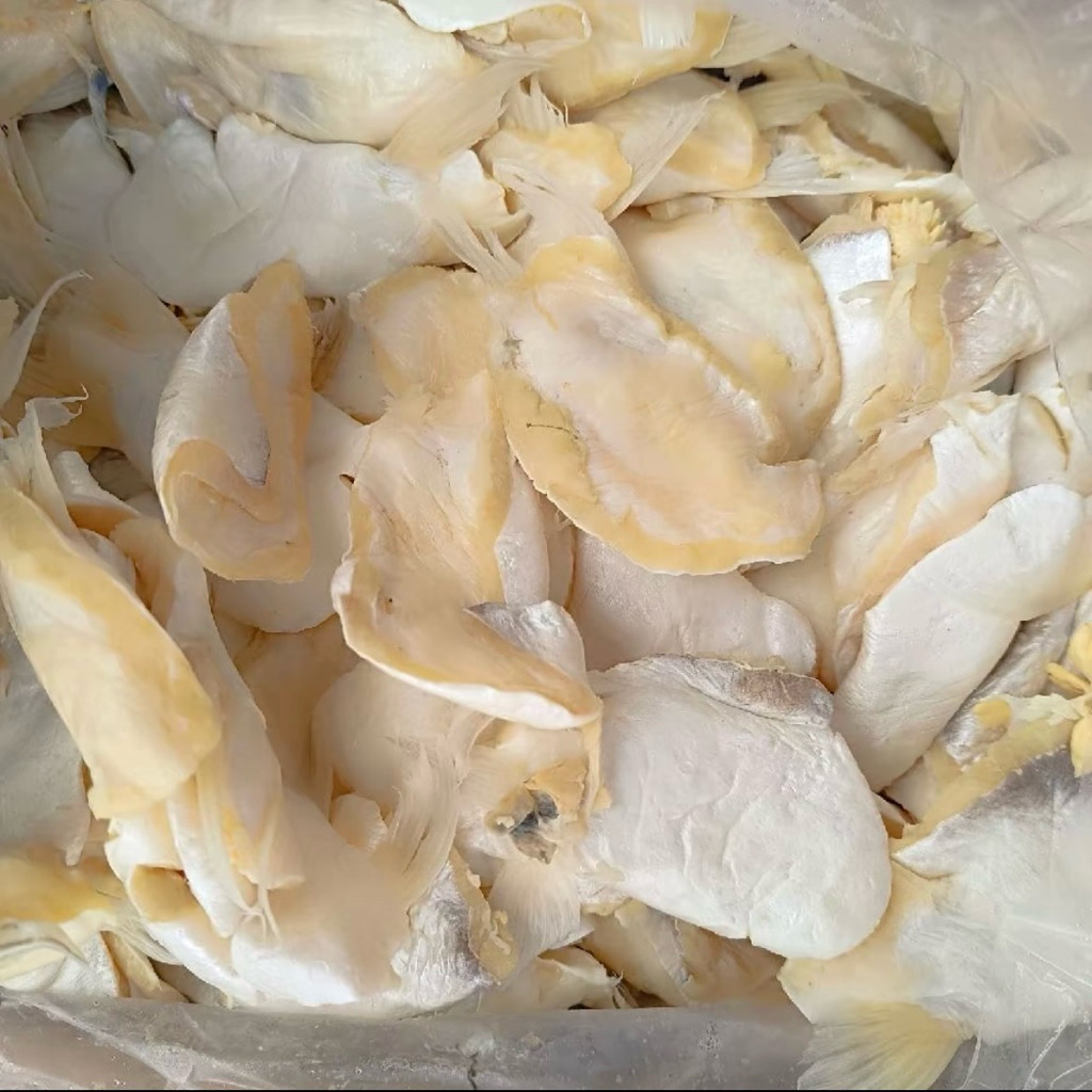 

Perut Ikan Patin Asin / Ikan Asin Perut Patin