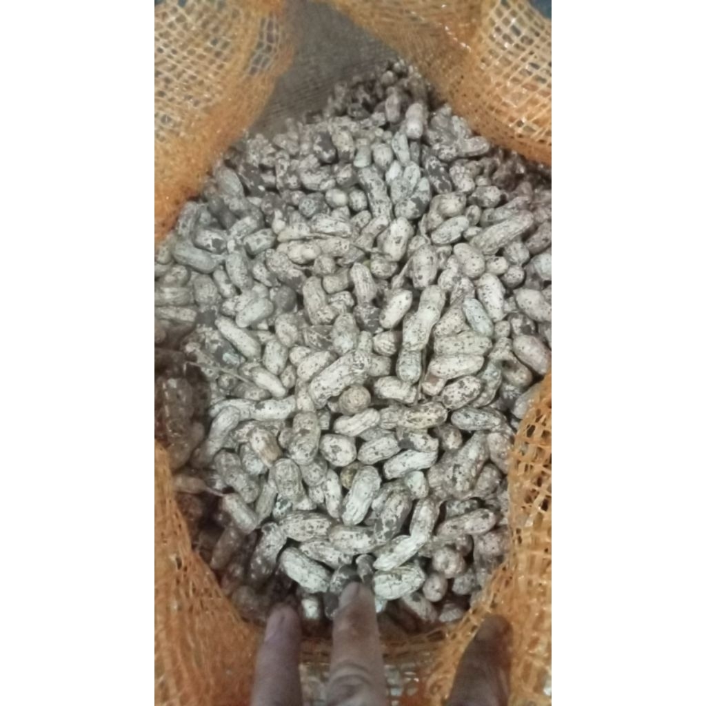 

kacang tanah/kacang rebus 1000g