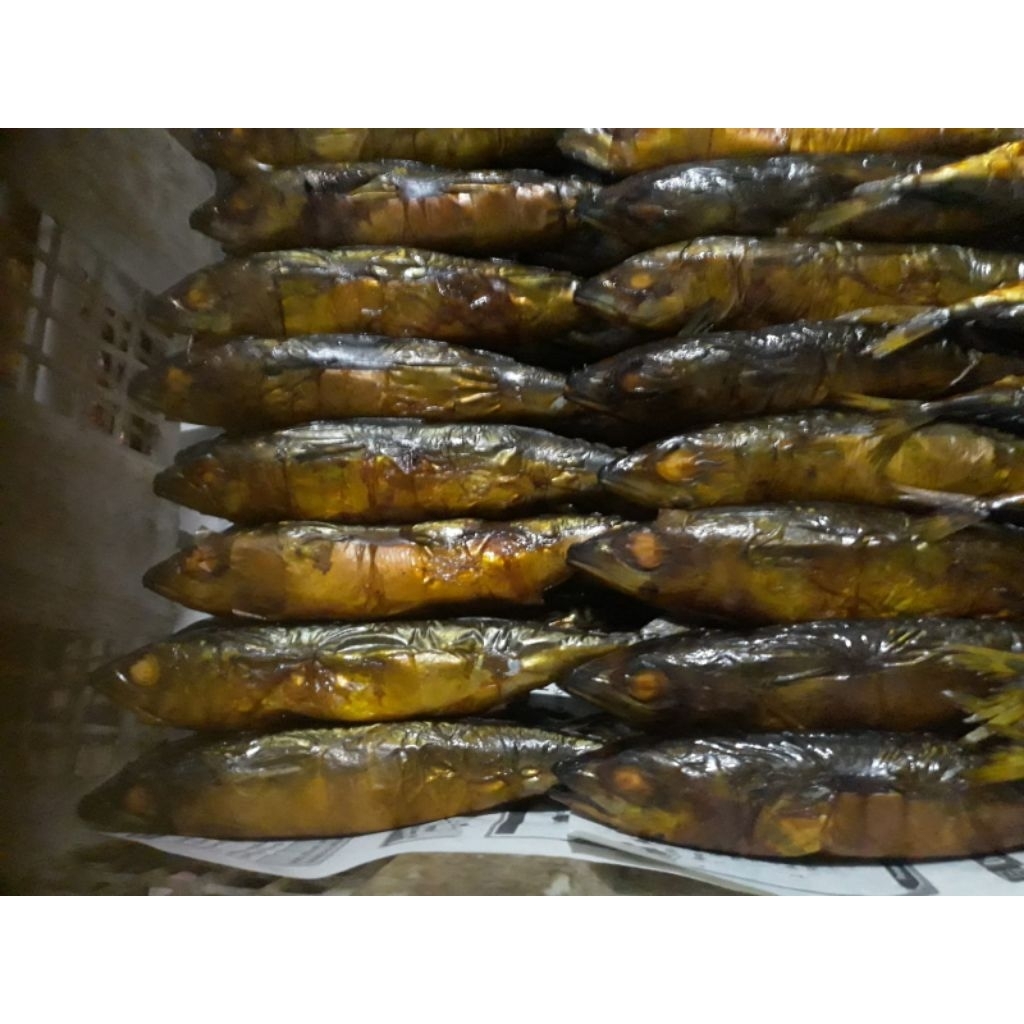 

ikan asap salem isi 10 ekor
