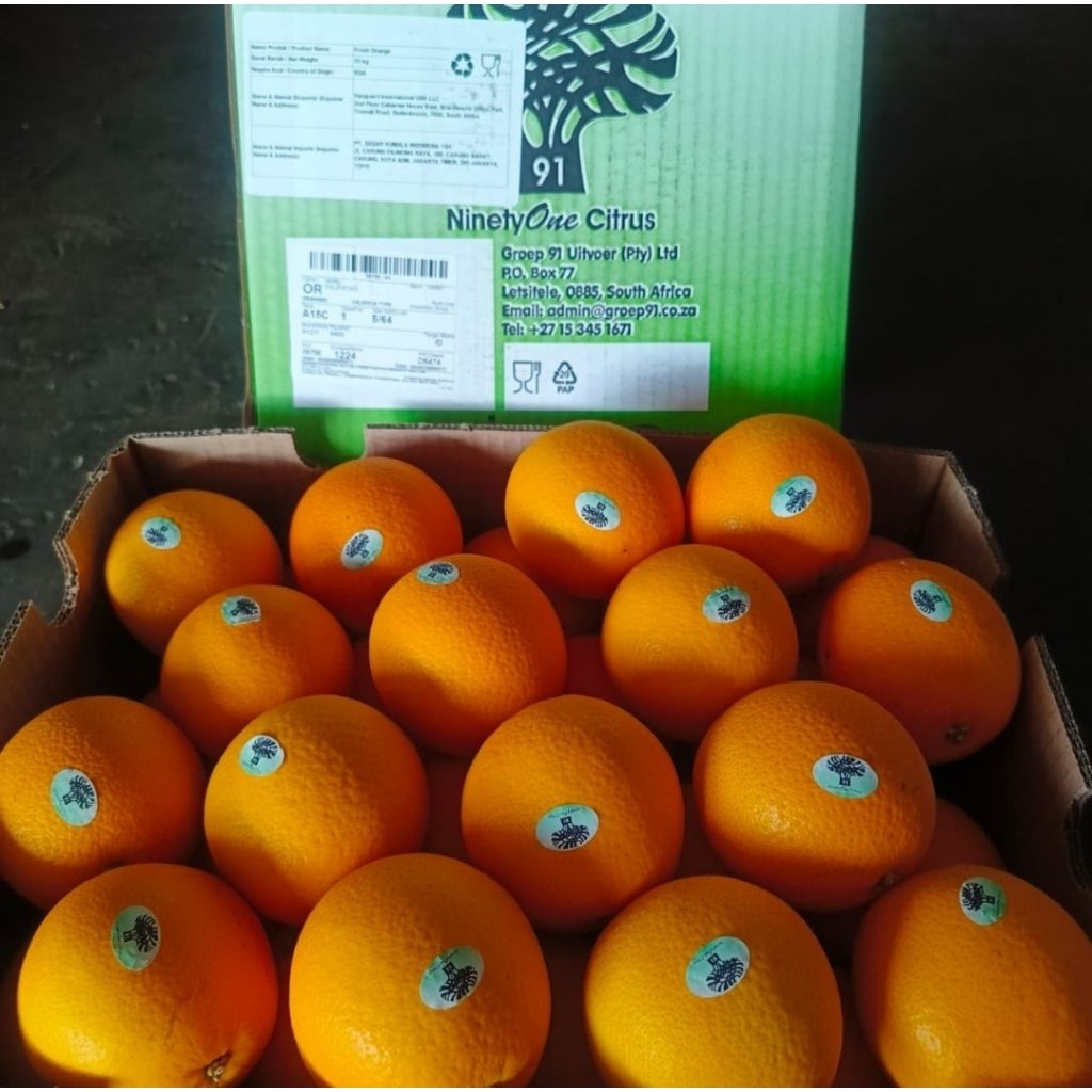 

Jeruk Valencia Afrika Fresh 1 Box 14 Kg
