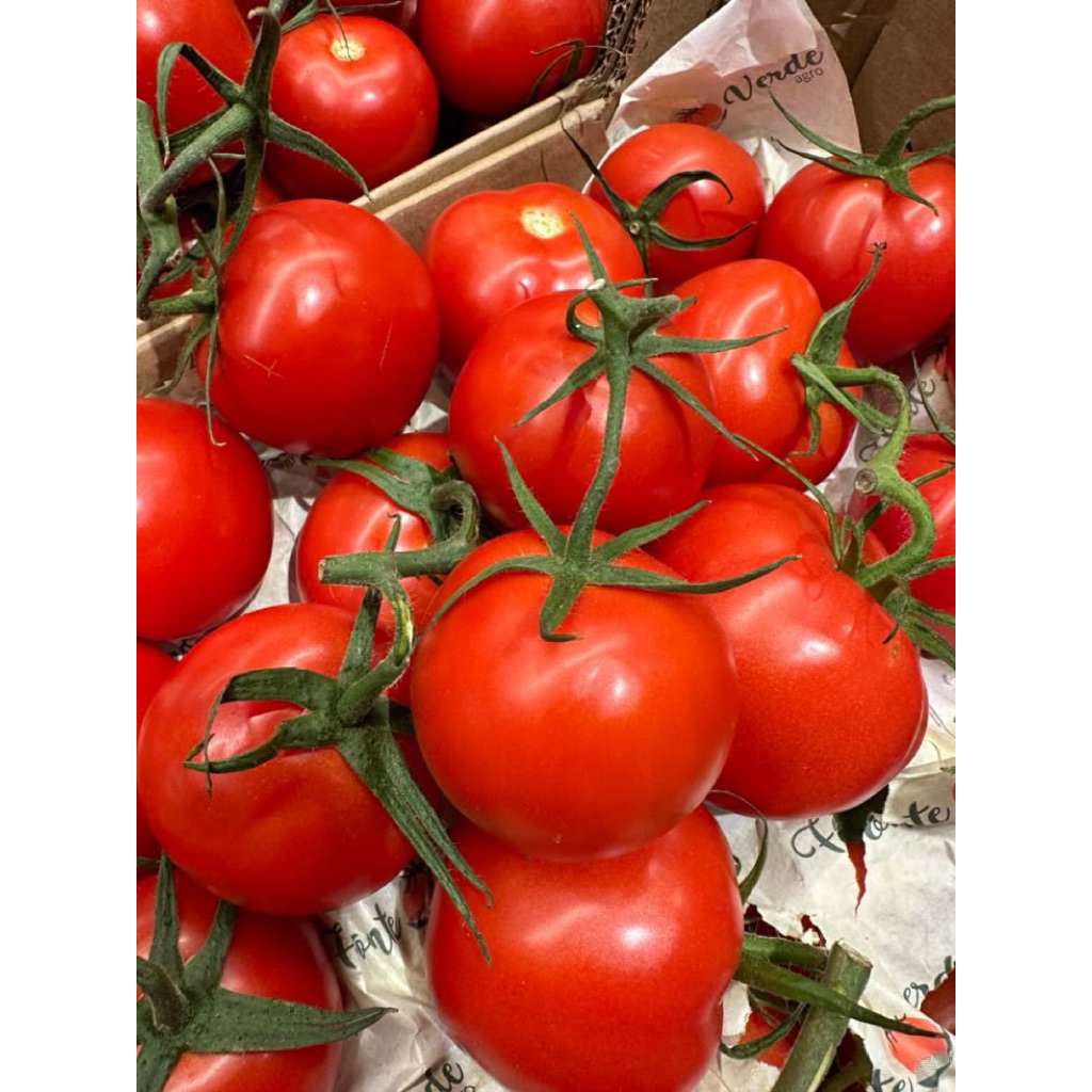 

Tomat fresh premium 250gr 500gr 1kg